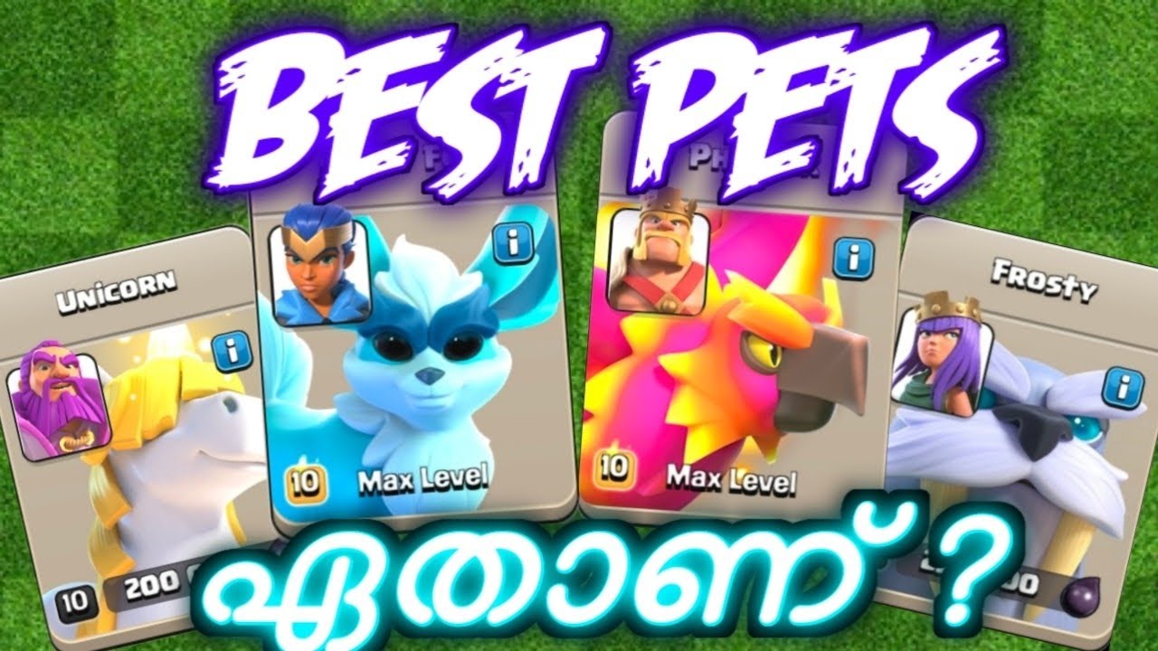Which PET Should You Upgrade First? Full PETS Breakdown | Clash of Clans Malayalam 