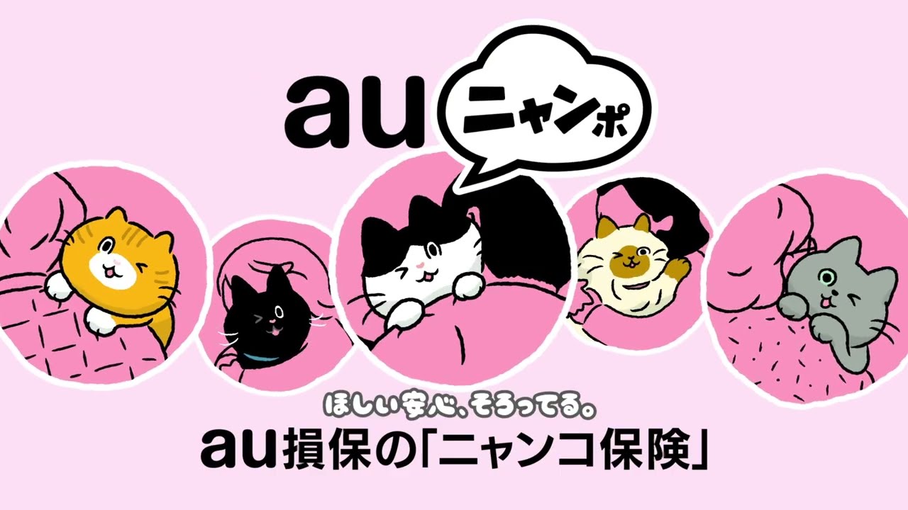 au損保のペット保険「ニャンコ保険」｜ペット保険｜JAL保険ナビ