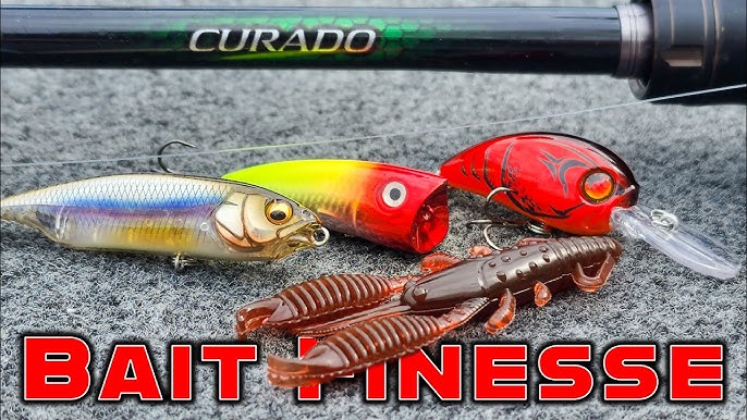 BUYER'S GUIDE: BFS (Bait Finesse System) Rods, Reels, And Lures