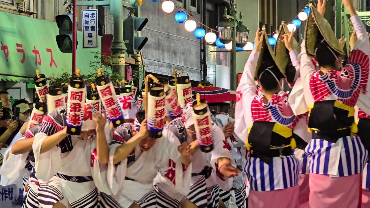 破れ傘の阿呆連、王者の貫禄❗両国本町演舞場【徳島市阿波踊り2025