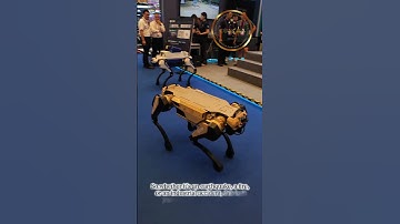 The Future of Rescue is HERE  WUBA Intelligent Rescue Robot Demo| Canton Fair 2025 Tech Innovation