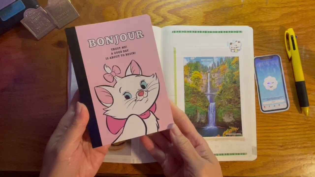 2026 Wonderland 222 A5 Planner - Quick After the Pen Flip Through - Jan 22, 2026