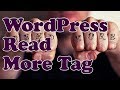 WordPress Read More Tag - Make Your Homepage or Blog tidy by just showing post excerpts