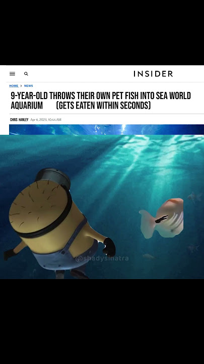 Minions meme