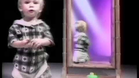 Gluck Learning and Memory Chapter 12 SELF RECOGNITION