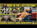 Incredible Animal Rescues  Real Life Wildlife &amp; Pets Saved