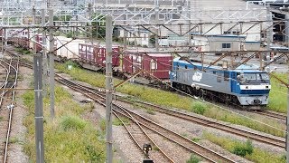 2019/06/14 【入換 機回し 出発】 JR貨物 5053レ EF210-14 東京貨物ターミナル駅 | JR Freight: Cargo at Tokyo