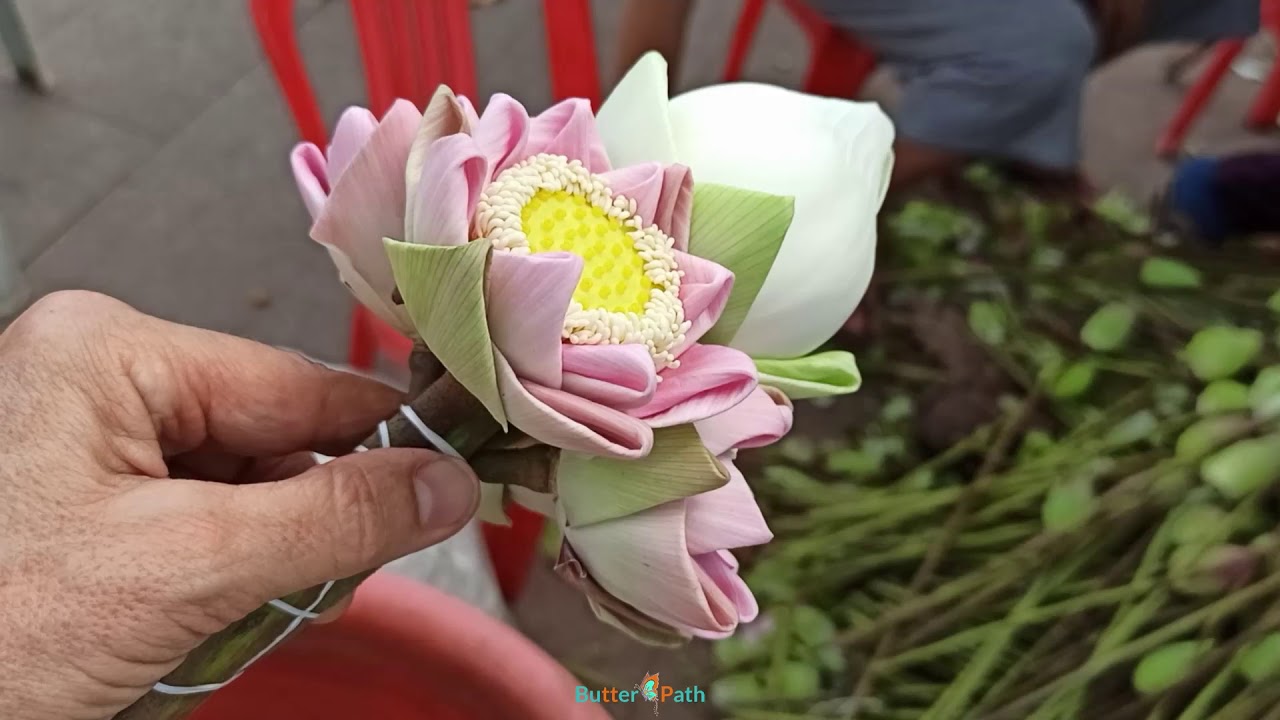 Lotus flowers at the market made for devotional purposes