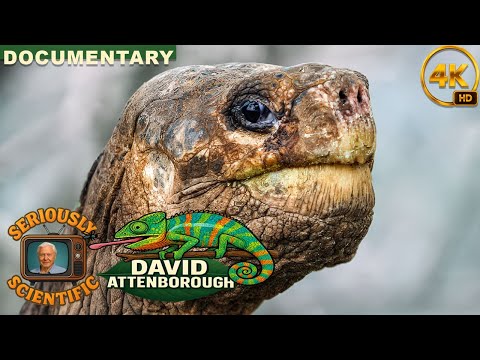 Galapagos: Evolution with David Attenborough