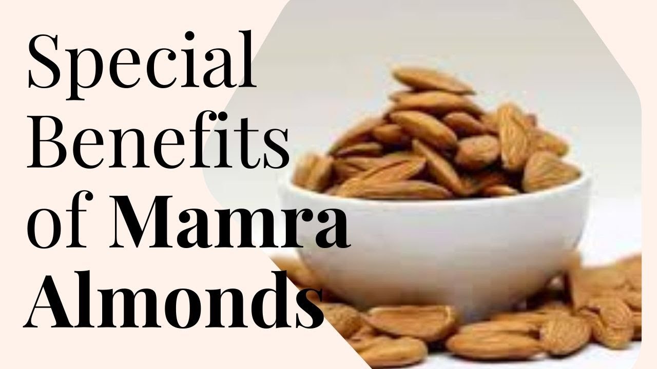 🔸Did You Know What is Special About Mamra Almonds Benefits of Mamra