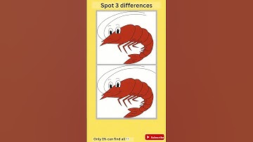 Spot 3 differences #1117us04