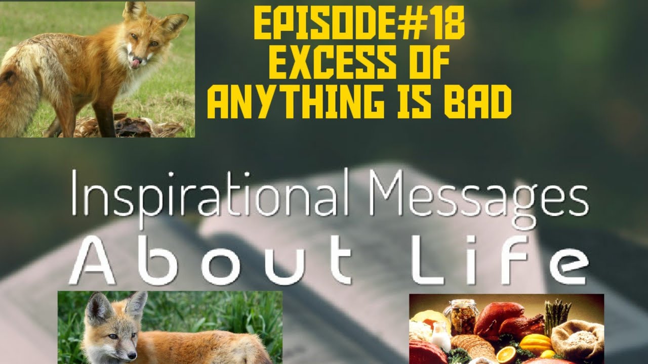 EXCESS OF ANYTHING IS BAD YouTube EXCESS OF ANYTHING IS BAD YouTube