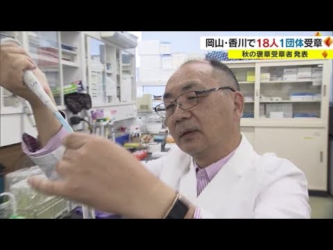 土壌保全を家庭菜園から始める具体的な方法3選