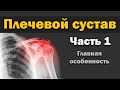 Плечевой сустав - Часть 1 - Общие аспекты строения сустава и болей в плече [S05E20]