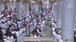 صلاة المغرب المسجد النبوي الشيخ صلاح البدير 28 صفر 1447هـ سورتي المسد والأخلاص.