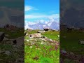 Nabi(SAWW)#viralvideo #foryou #shorts #viral #islam #youtubeshorts #naat