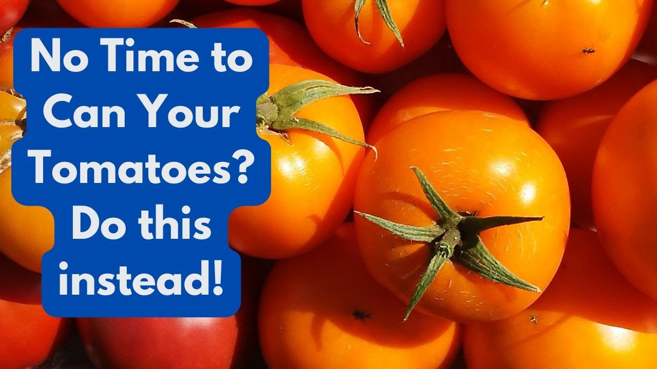 No Time to Can Your Tomatoes? Do this instead! - YouTube