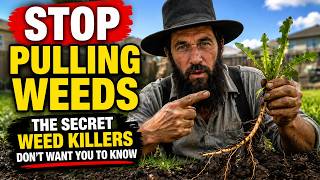 Stop Pulling Weeds — The Secret Weed Killers Don't Want You to Know