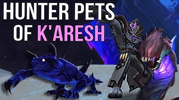 Every New Hunter Pet in 11.2 Ka