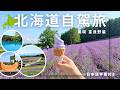 3天2夜薰衣草之旅自駕攻略🇯🇵【北海道玩什麼】富良野美瑛景點住宿美食推薦!夏天北海道旅行|日本自駕|日本自由行