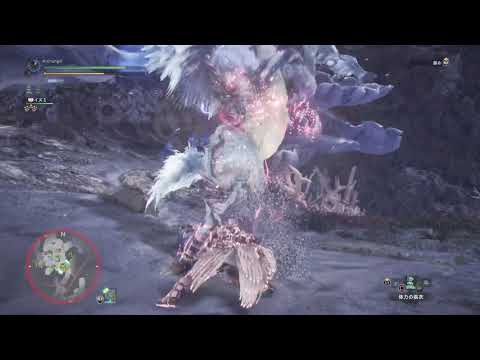 １年遅れのカスタム強化解放 Mhw Archangelの日々記