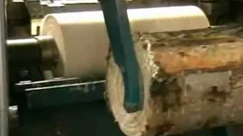 Quale è il migliore impregnante?