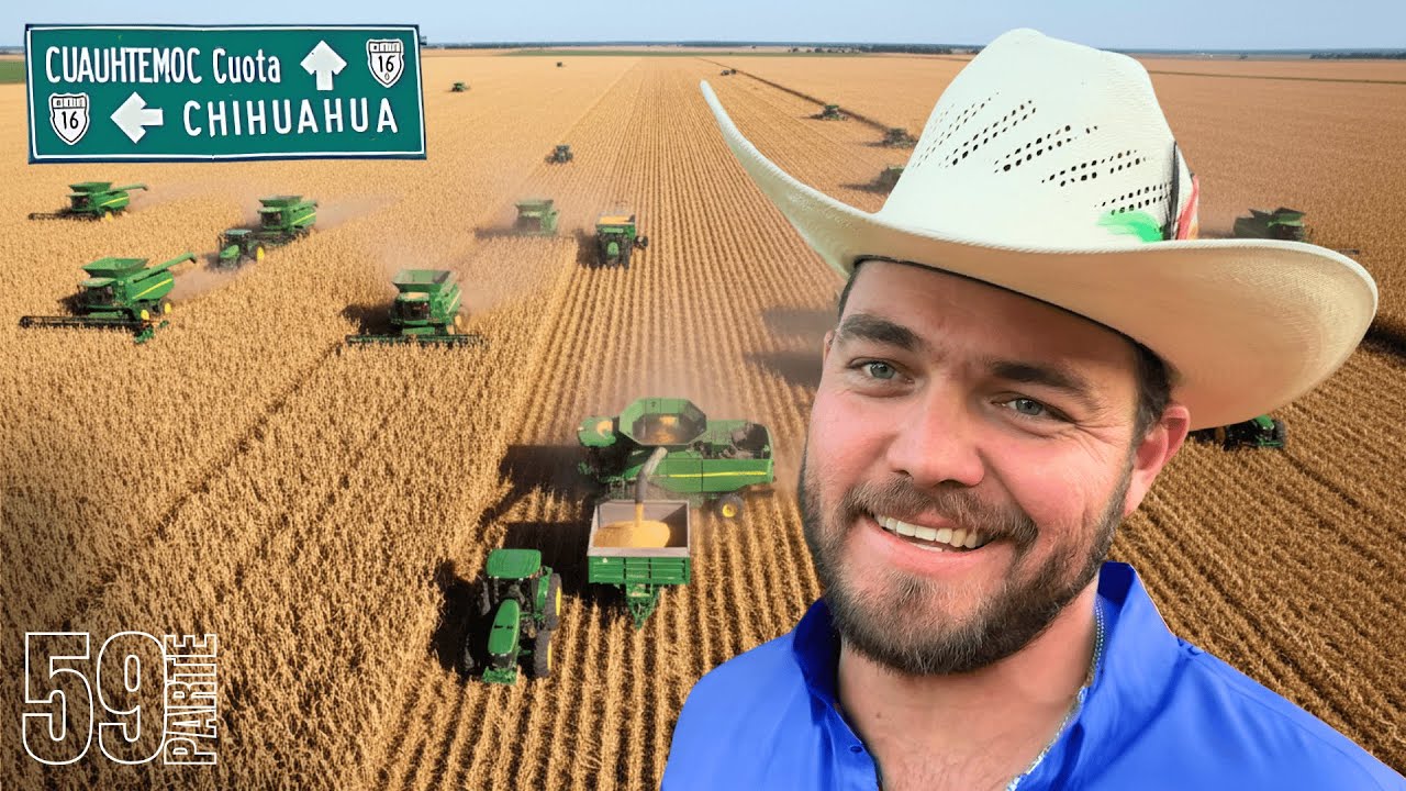 En Chihuahua se levanta más de 1 millón de toneladas de maíz