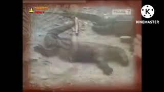 sign on trans 7 obb redaksi pagi