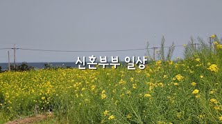 포항 사는 신혼부부 일상 브이로그💗 제주도보다 예쁜 호미곶 유채꽃, 에르메스 트윌리 구매하기, 대구 막창순대국밥, 포항 구룡포 여행, 포항여행, 포항카페, 대구뽈불고기, 포항맛집