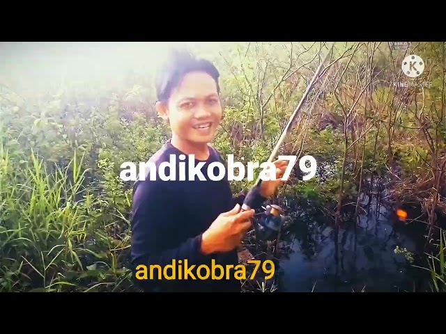 INTROKU #andikobra79 class=