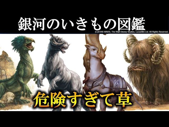 Cute but dangerous!? A guide to the creatures that appear in Star