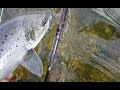 Et siste eventyr laksefiskesalmonfishing vestlandet  fiskejegeren production