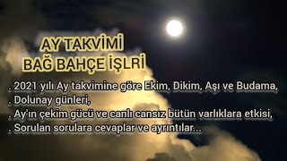 Ay Takvimi Bağ Bahçe Işleri Lunar Calendar Vineyard Gardening