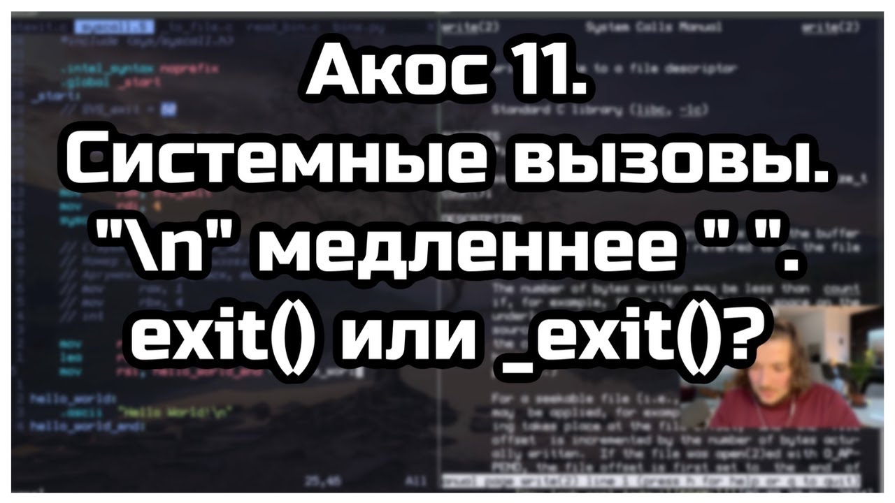 Акос 11. Системные вызовы. read/write