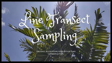 Line Transect Sampling Method | Fieldwork | SBV1043: Ecosystem Disruption and Conservation | Group A