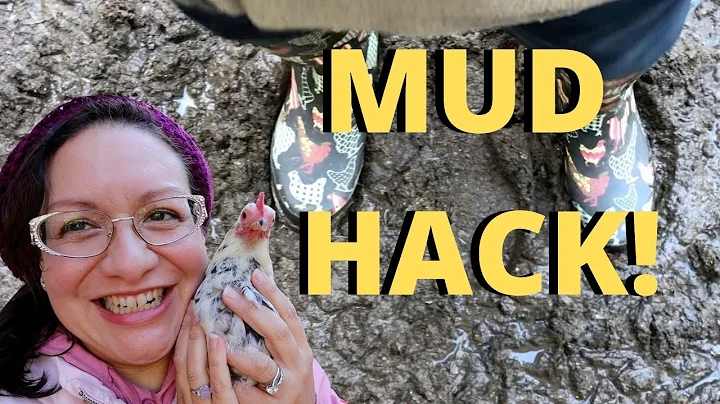 Muddy Chicken Run QUICK FIX | Chicken Coop HACK!