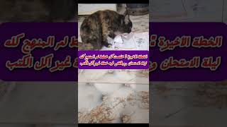 مياو تبكي بسبب الندم...#cat#قطط#امتحانات#ثانوية #cute#كيوت#حزن#اغاني#حيوانات#ميمز#ضحك#العاب#روايات