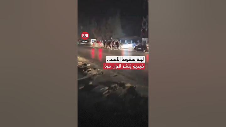 فيديو يُنشر لأول مرة.. ليلة سقوط الأسد من العاصمة دمشق