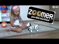 Интерактивная игрушка - Собака Зумер. Ярослава играет с роботом собакой Zoomer