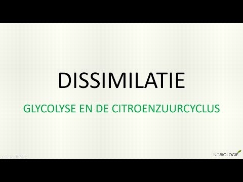 Video: Ruikt Glucose En Citroenzuur?