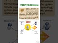 கதிரியக்கம்-Nuclear Fusion #கல்வி #10thscience #உங்களுக்குதெரியுமா #pgtrb #tntet #tnpsc #govtjobexam