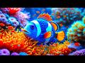 The Best 4K Aquarium – Peaceful Underwater World &amp; Soothing Music for Deep Sleep