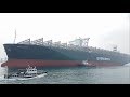World's Largest Container Ship, Evergreen 20,000+ TEU Class "Ever Given" Into Kaohsiung Harbor