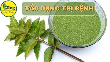 Tác dụng trị bệnh của cây sầu đâu