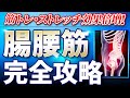 腸腰筋完全攻略!筋トレ・ストレッチ効果倍増になる解剖学!