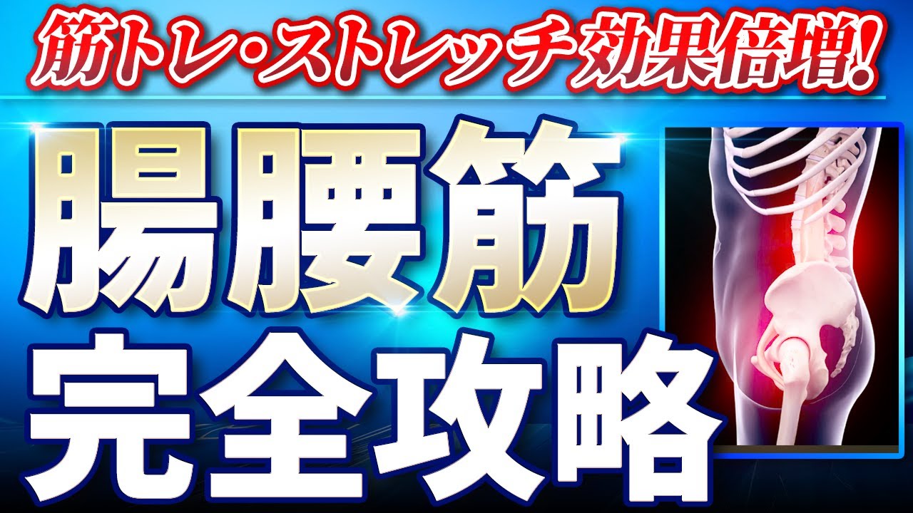 腸腰筋完全攻略！筋トレ・ストレッチ効果倍増になる解剖学！