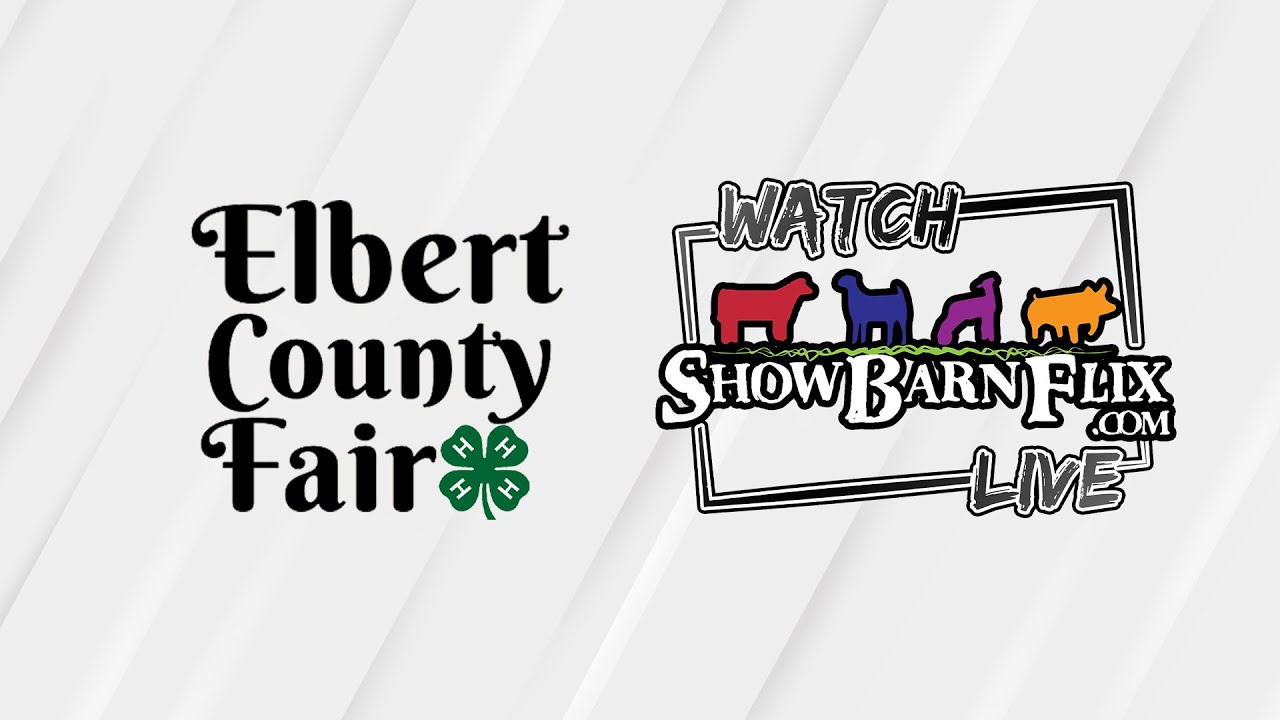 4H Market Hog Show Elbert County Fair 2024 YouTube