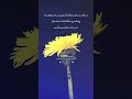 یەك سات ئارام گرتن