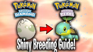 How to breed SHINY POKEMON in Brilliant Diamond and Shining Pearl! BDSP Masuda Method Guide!