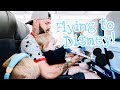 FLYING TO DISNEY WORLD WITH 2 TODDLERS! || TRAVEL VLOG 2019